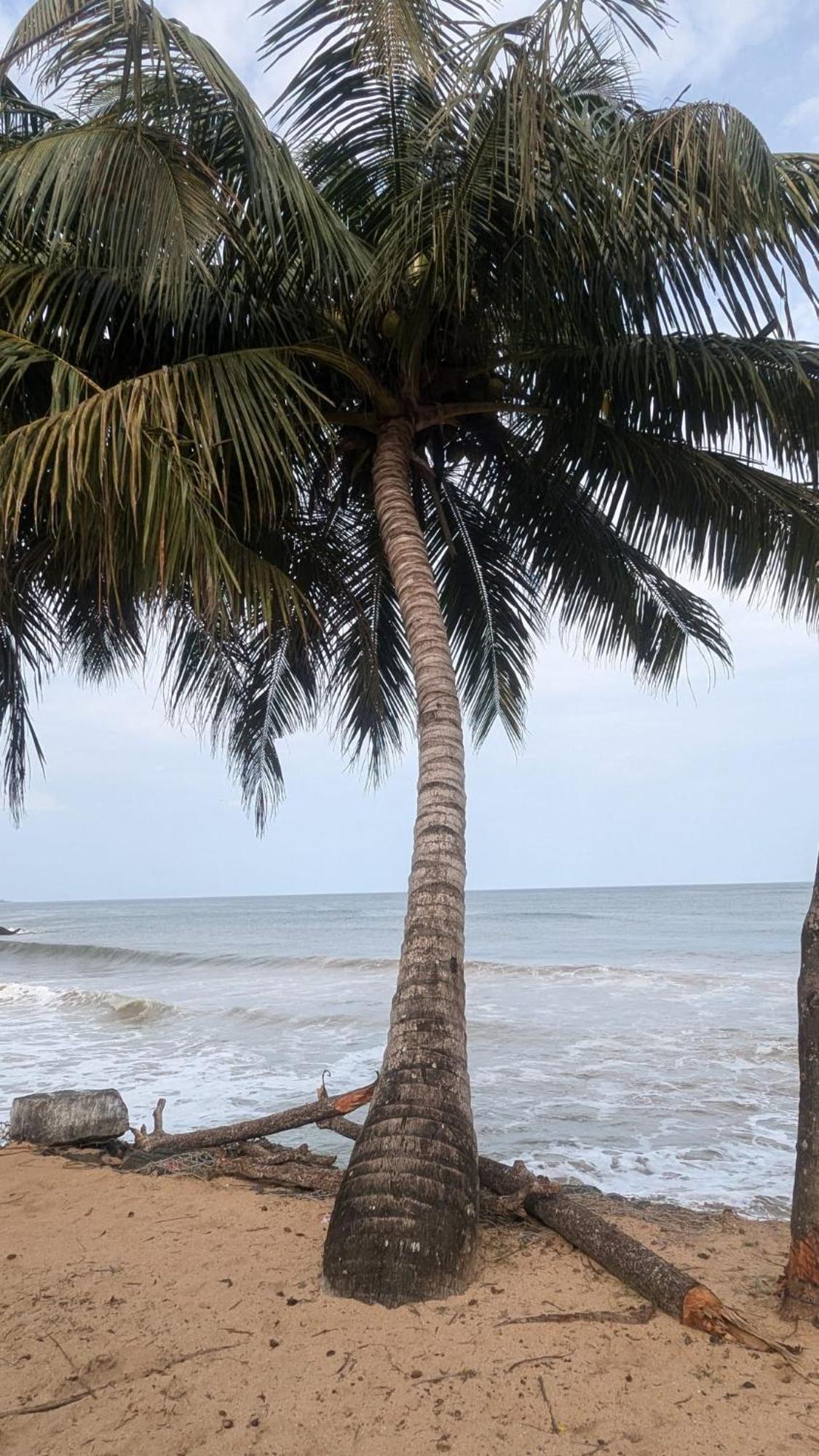Chandi Gaya Beach Guesthouse Tangalle Dış mekan fotoğraf